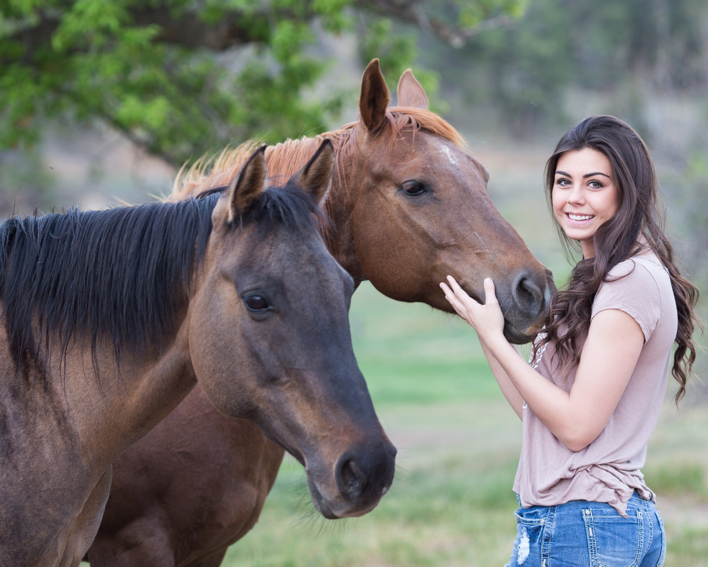 Girl Stroking Horses Outdoors